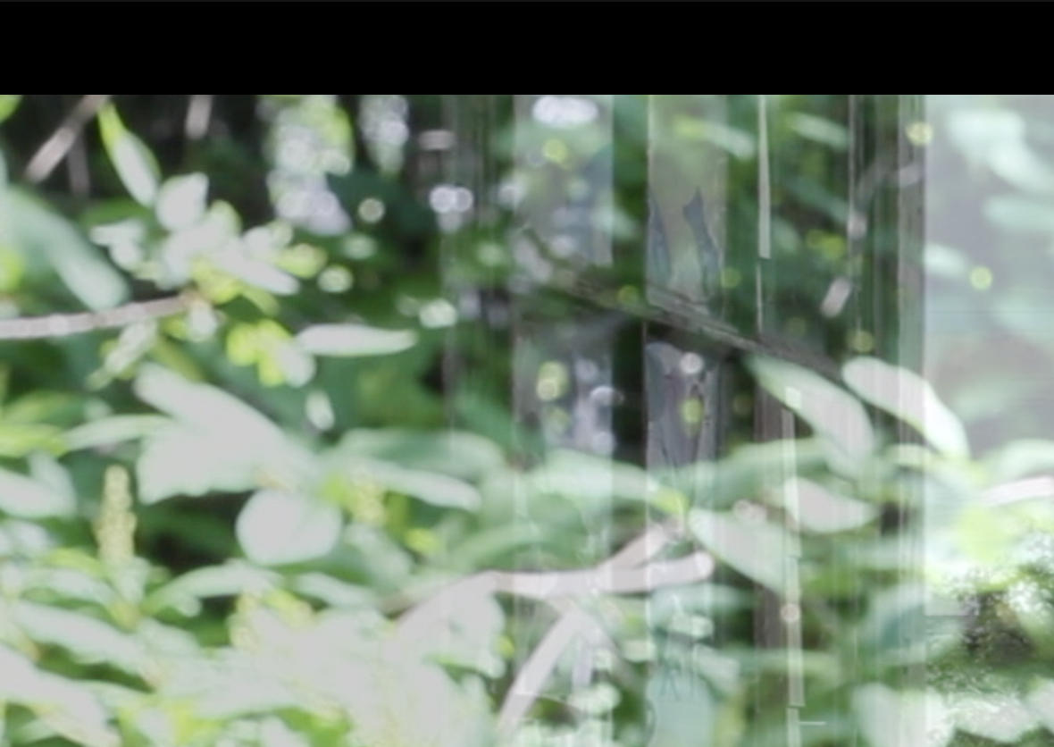 Screen Shot 2020-07-21 at 9.57.35 PM